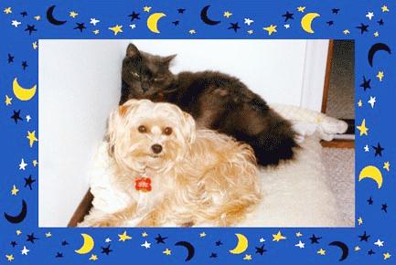 cricket and nicky