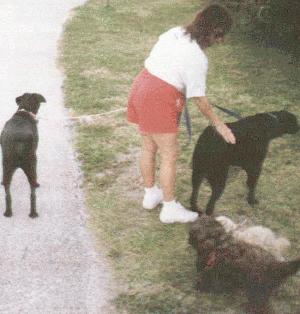 gal1dog3.jpg eileen, dogs
