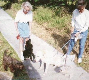 gal2dog4.jpg Mary, Caren