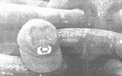 hatchain.jpg
