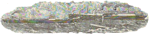 license_logo.gif