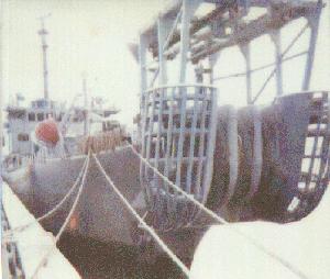 neptune's bow