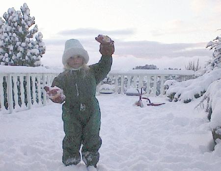 vinter.jpg