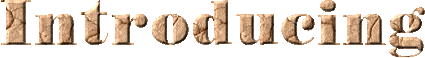 word_introducing.gif